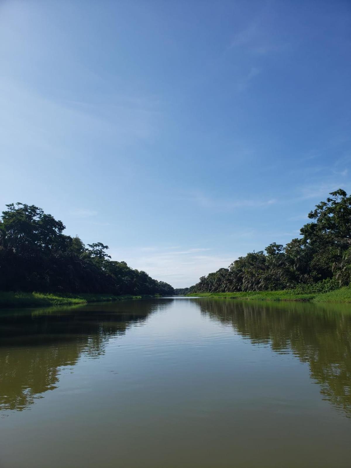 Alma Del Bosque Hotel Tortuguero Esterno foto